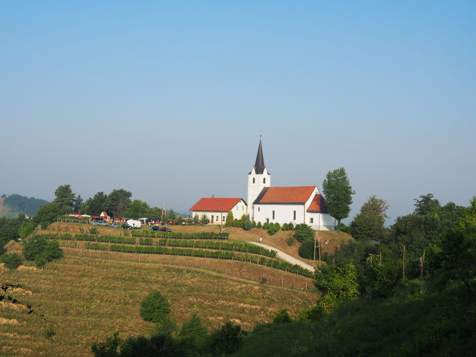 P1010046