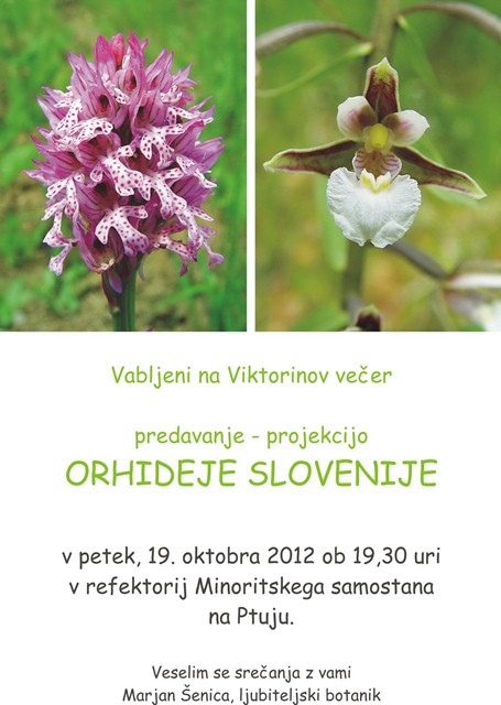 Predavanje VIKTORIN vabilo